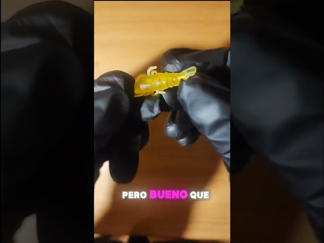 Vídeo relacionado con OriGlam 10 señuelos de pesca luminosos, anzuelos de calamar, señuelo de camarón duro, brilla en la oscuridad (3.5#)