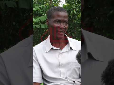 NABEERA NGA NABAYEEKERA