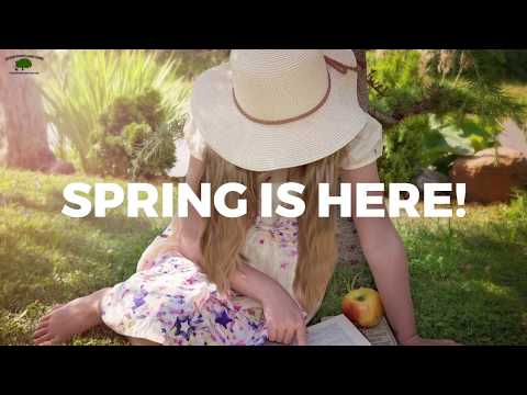 download lagu mp3 mp4 Lawn Care Cedar Park Tx, download lagu Lawn Care Cedar Park Tx gratis, unduh video klip Lawn Care Cedar Park Tx