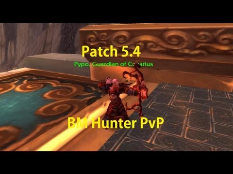 5.4 BM Hunter PvP - 90 BM Hunter PvP - 5.4 First Impressions - World of Warcraft Patch 5.4