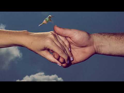 Colony House - Hummingbird (Official Visualizer)