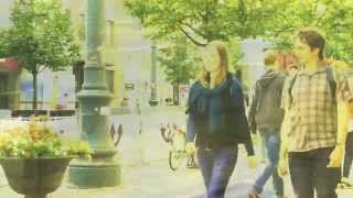 Vilnius : geltonoji karta