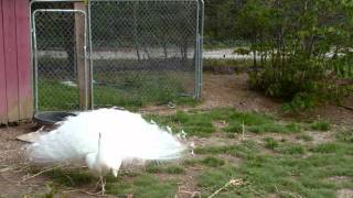 North Carolina &amp; John Saw that Number