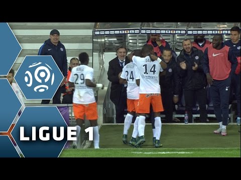 Goal Jérôme ROUSSILLON (34') / Toulouse FC - Montpellier Hérault SC (1-1) - (TFC - MHSC) / 2015-16