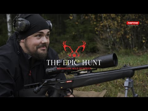 The Epic Hunt: Norwegisches Wild Rentier – Teil 2