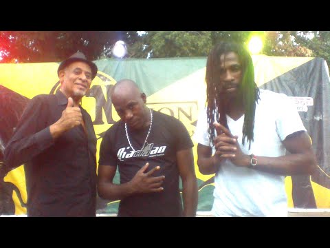 BIG STONE LIVE SATIVA THE BLACK 1