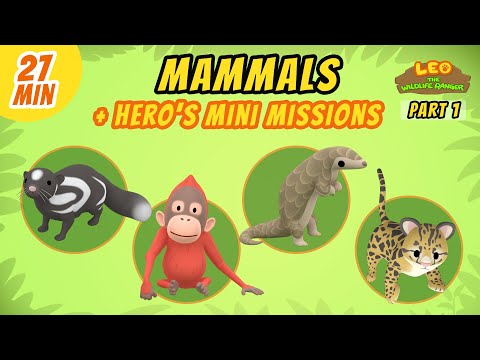Mammals (Part 1/8) - Junior Rangers and Hero's Animals Adventure | Leo the Wildlife Ranger