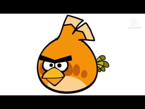 Brown Robin bird and orange angry Bird 2 adventure in shell city (part 11) the mition is over or not