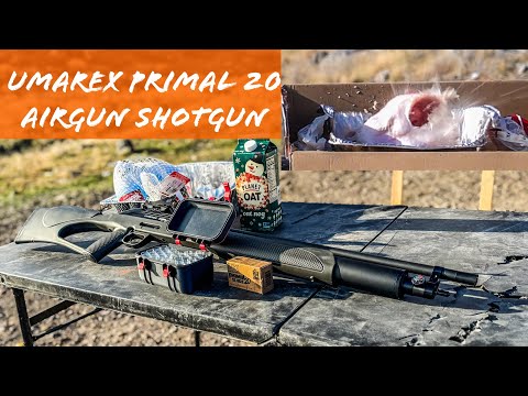 Umarex Primal 20 Guage AIRGUN SHOTGUN?! Let’s Test It On A TURKEY