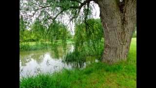 preview picture of video 'Lockwood Territory, Part III, 'Lovatt meadow, Newport Pagnell' by Sheila, May 31, 2014'