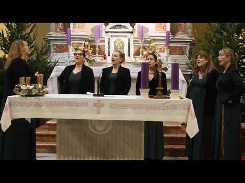 KLAPA ŽULJANKE  - KADA JE  DJEVA MILOST DOBILA