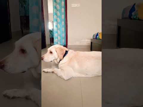 😘❤️ subscribe the channel for more videos 😀#reels