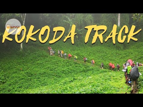 Adventure Kokoda | Trekking the Kokoda Trail - WE LOVE THIS! - Travis Bird