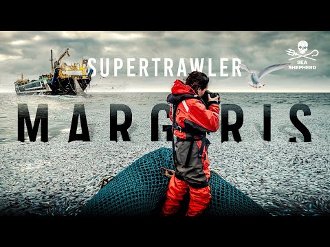 Super Trawler Caught Dumping Tons of Dead Fish