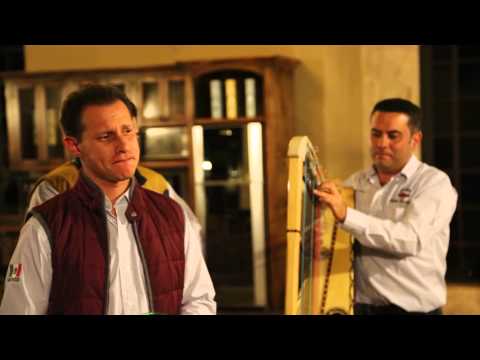 A los cuatro vientos - Steeven Sandoval - Mariachi Nuevo Tecalitlan