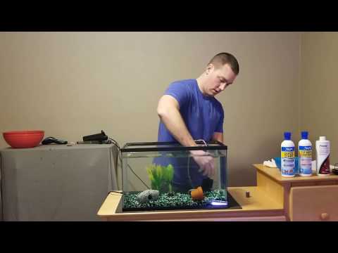 YouTube video about: Where to place a filter in a fish tank?