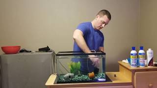How to set up a fish tank.