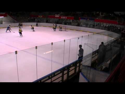 Spielbericht: Eisadler Dortmund vs. Hammer Eisbären 1b (Partie vom 23.02.2014)