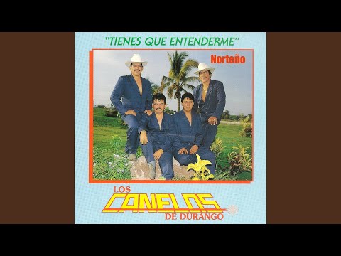 Entre Cerros y Pinos