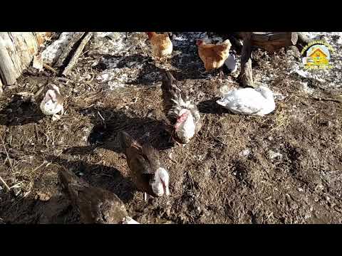 Как прошли праздники?! Жизнь в деревне.