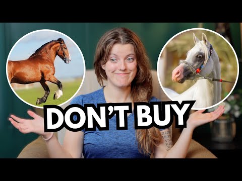 5 Horse Breeds I Would NEVER Get