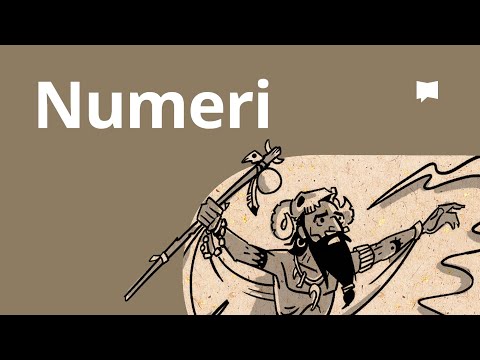 Overzicht: Numeri