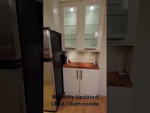 Newly Updated 1 Br/1 Ba Condo w/Hdwd Flrs, SS Appl, AC, Off-St Parking in Uptown Mpls near Wedge Co-op! property video