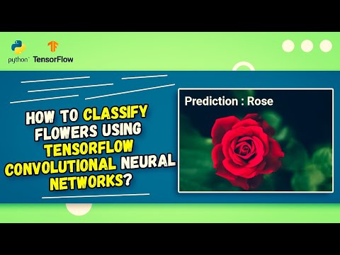 Tensorflow Cnn Tutorial Flower Classification With Python