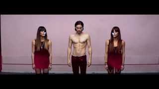 30 Second To Mars - rebekka karijord, multicolored hummingbird