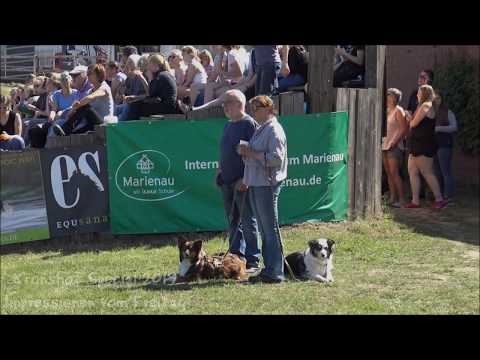 Kronshof Special 2019: Impressionen Freitag