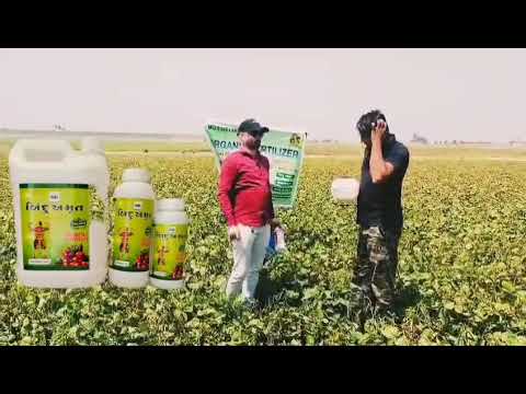 Organic Farming Plant Growth Promoter