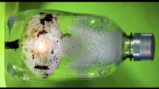 Underwater Explosions (Science with Alan Sailer!) - Smarter Every Day 63