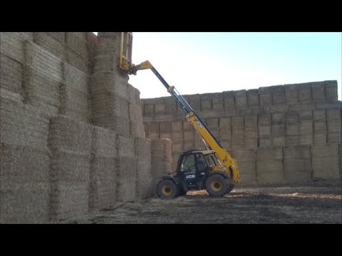 Loading the straw lorry with the JCB 535 95