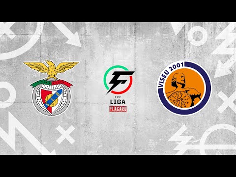 Liga Placard, 17ª jorn.: SL Benfica 6-1 Viseu 2001