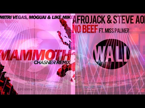 Mammoth vs. No Beef (Hardwell North American Tour 2023 Mashup)