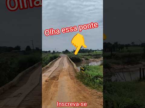 Inverno em Roraima: Samaúma em Mucajaí #vlog