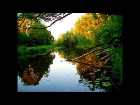 Arthy Myst - Anta dvaro