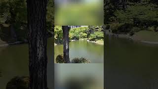 Japans Schönste Gärten: Entspanne Dich Jetzt! #shorts