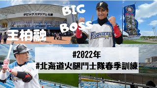 [分享] 新庄BIGBOSS親自指導大王打擊