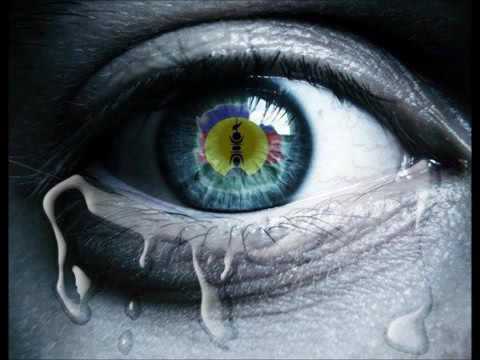 KANEKA   GULAAN     La mane  no  se  acania