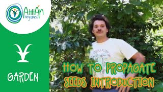 How to Propagate Seeds Introduction