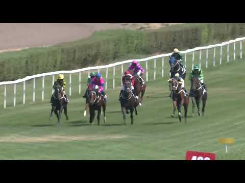 2022.07.24. 01. futam - KEZDŐ LOVAK VERSENYE (IV.kat.)