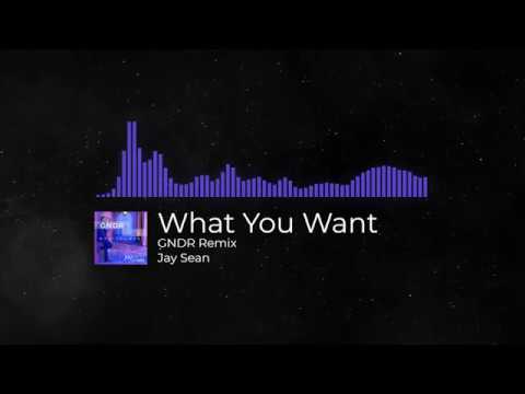 Jay Sean - What You Want (GNDR Remix)