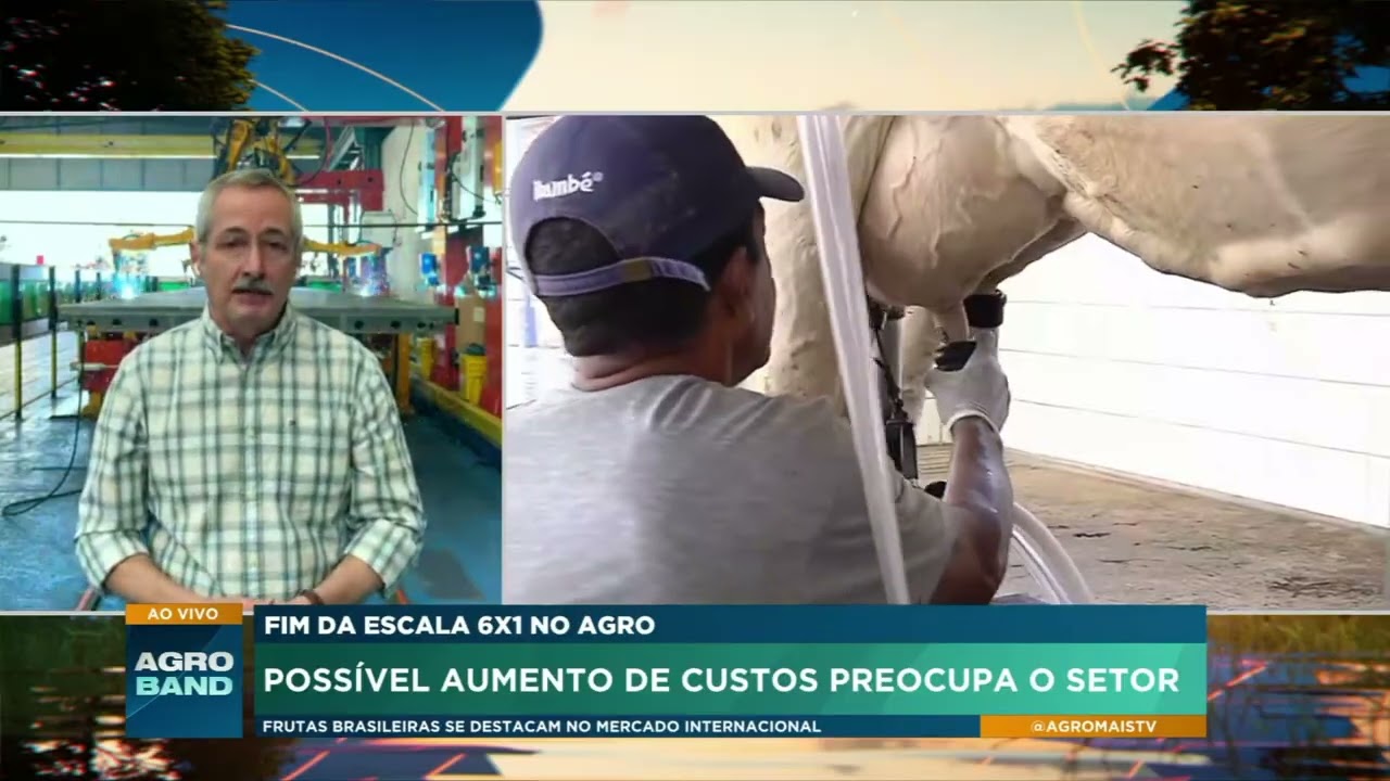 Fim da escala 6x1: quais podem ser os impactos para o agronegócio?