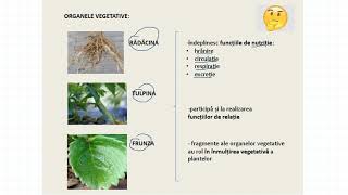 ALCĂTUIREA ORGANELOR LA PLANTE