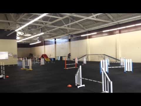 Tracy and Quimblee 3/19/2014