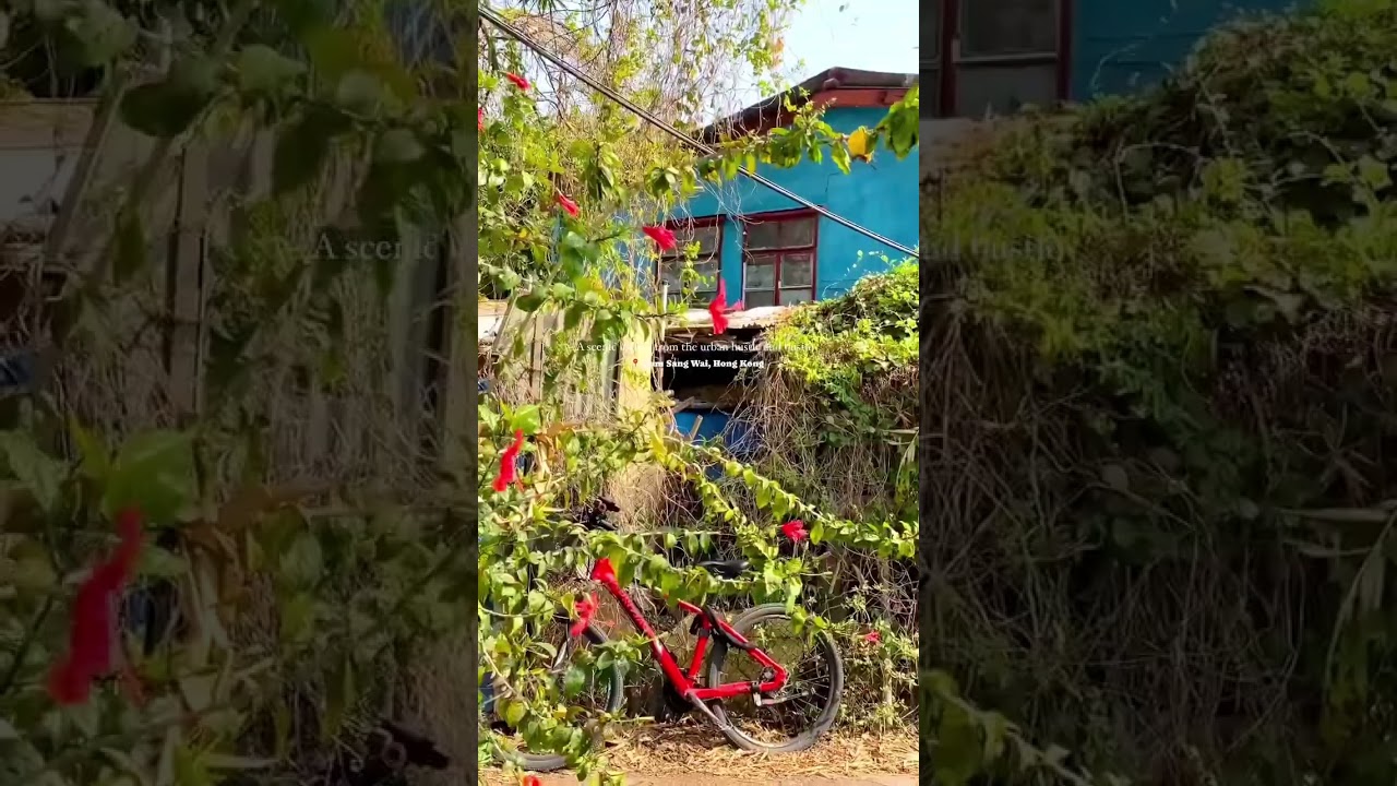 YouTube Short thumbnail