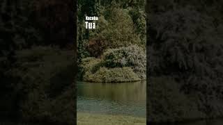 Download lagu Lirik Lagu Shots Ebiet G.Ade - Apakah Ada Bedanya.. #liriklagu #shorts #foryou mp3 Download lagu Lirik Lagu Shots Ebiet G.Ade - Apakah Ada Bedanya.. #liriklagu #shorts #foryou mp3