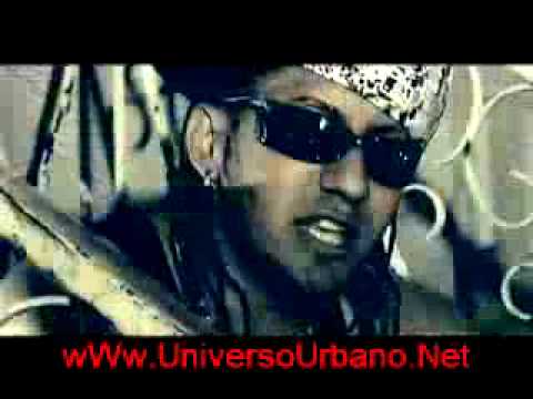 NIPO - COME TO MY HOOD