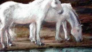 Navajo Peyote Songs-Dedicated To JEFFREY JONES